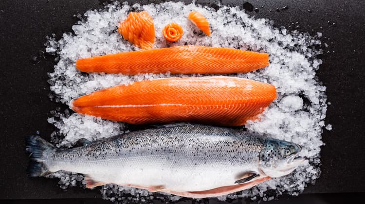 Imagem Mitos e insinuações na Aquicultura: sim, estamos seguros