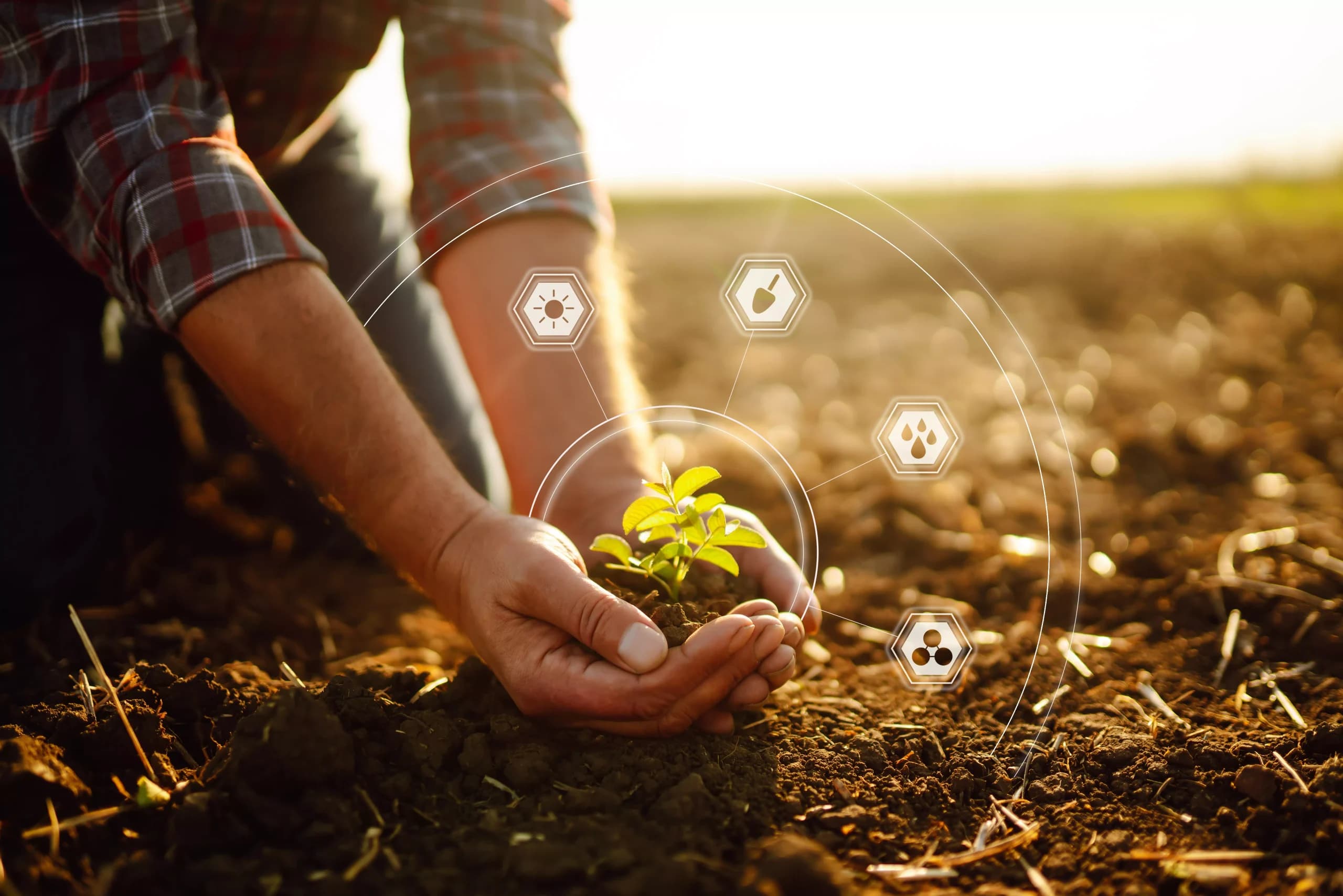 Contribuição social previdenciária sobre as atividades agroindustriais