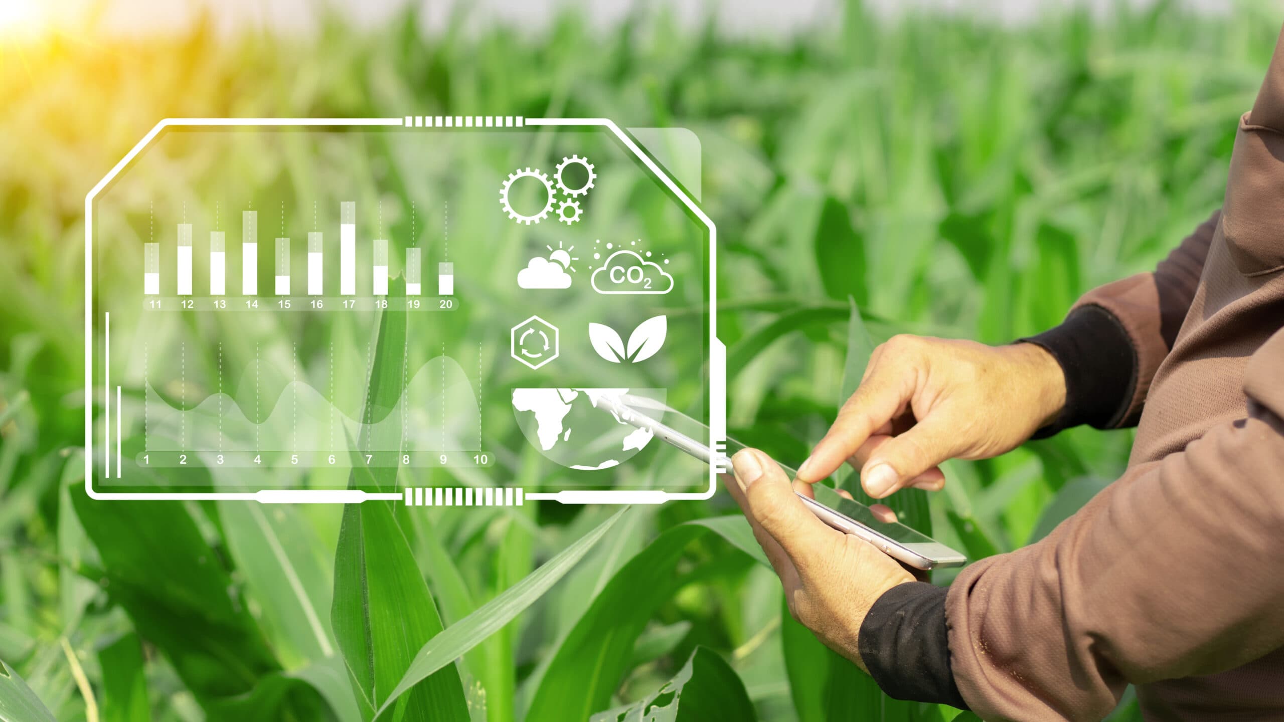 Gerenciamento de risco no agronegócio: estratégias de <i>hedge</i> para o produtor rural