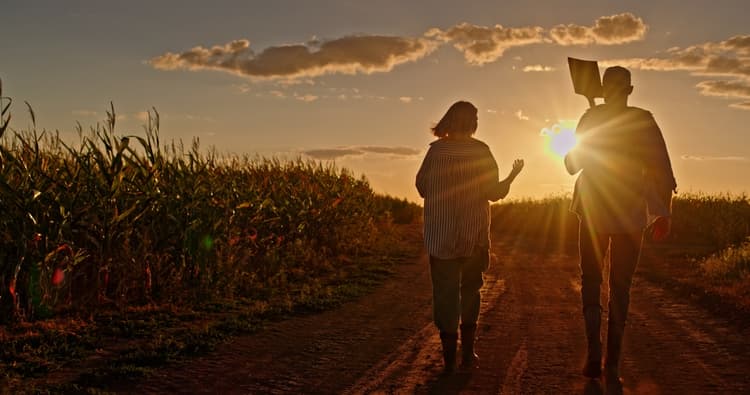 Imagem Agricultura familiar no Rio Grande do Sul: relevância socioeconômica, políticas públicas e barreiras ao acesso ao crédito rural