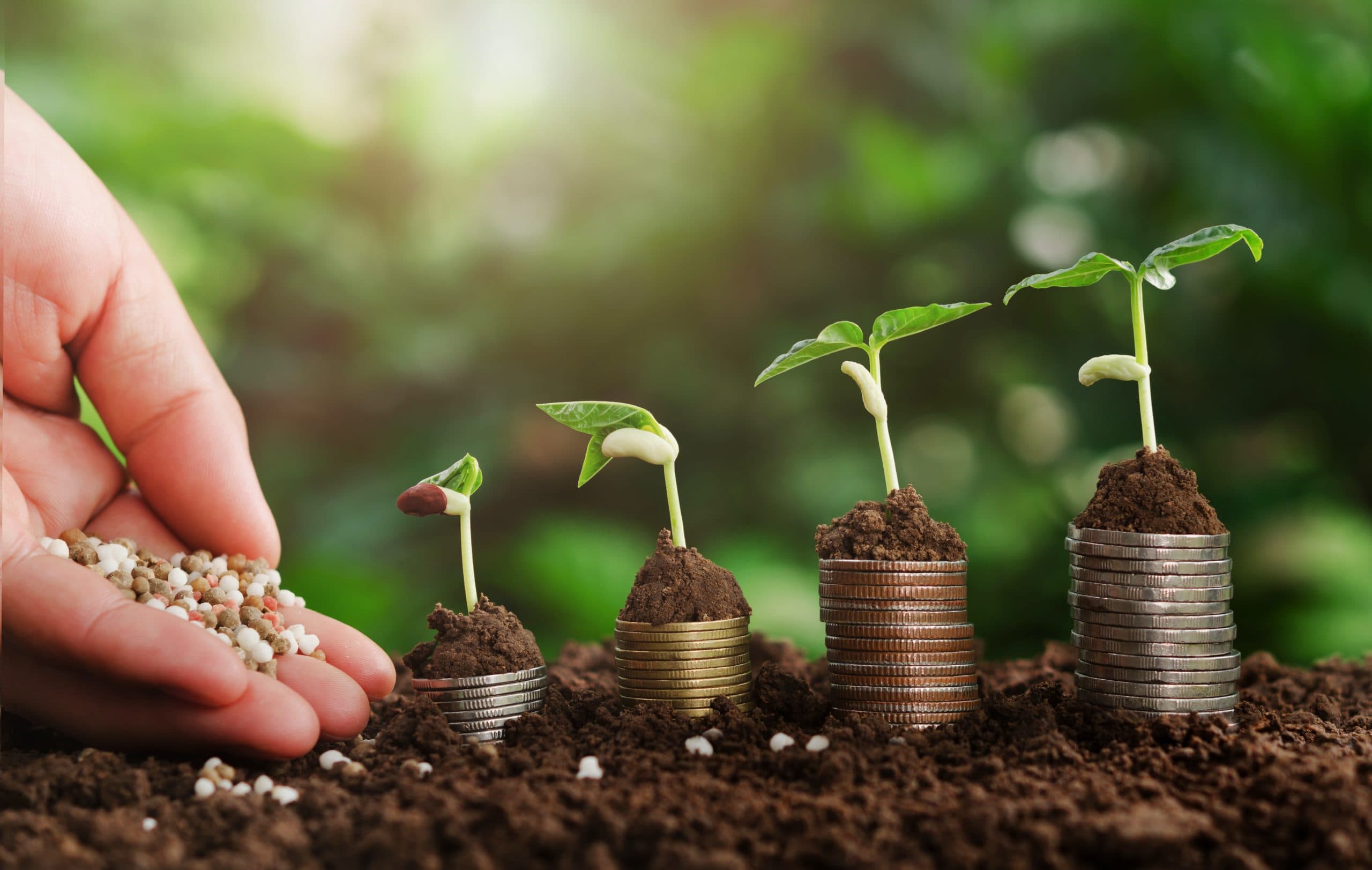 Tendências mercadológicas no segmento de fertilizantes na produção de grãos