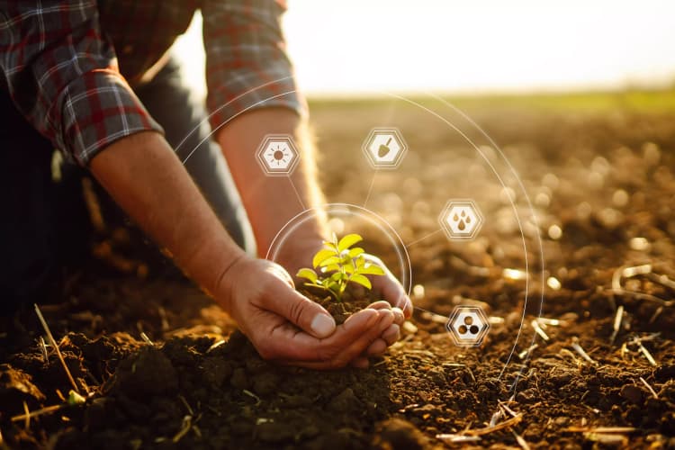 Imagem Contribuição social previdenciária sobre as atividades agroindustriais
