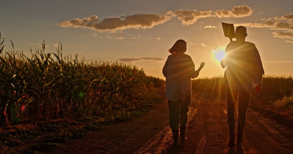 Agricultura familiar no Rio Grande do Sul: relevância socioeconômica, políticas públicas e barreiras ao acesso ao crédito rural