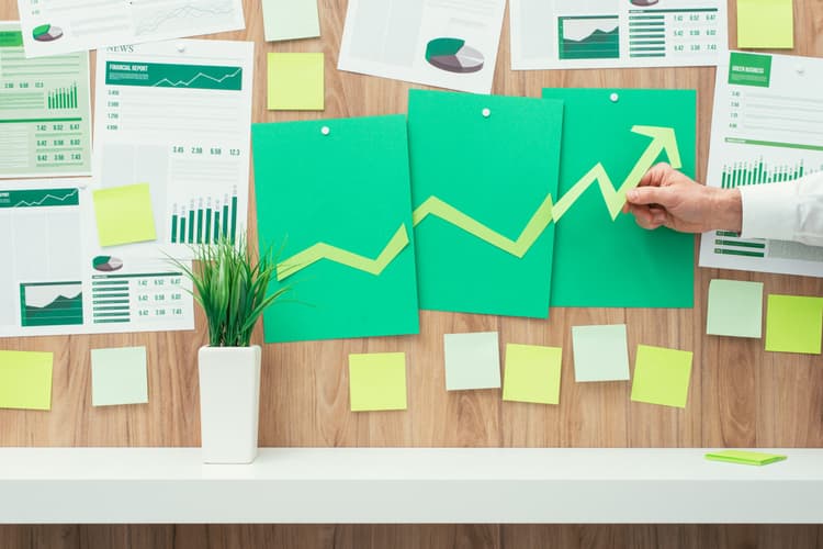 Imagem A dinâmica entre o risco específico e o gerenciamento de resultados no mercado brasileiro